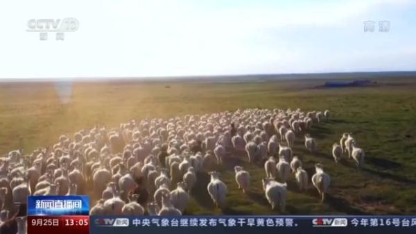 地理标志农产品_国家地理标志农产品_特色农产品地域品牌