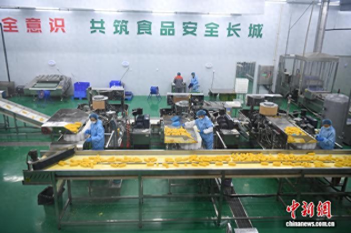 广西象州跨境冷链物流_冷链物流 农产品_象州农产品出口东盟