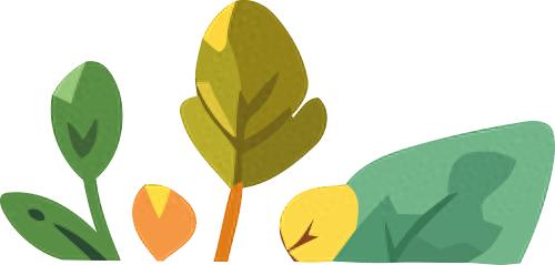 北京凯达恒业农业技术开发有限公司_农产品初加工机械化典型案例_农产品安全生产技术