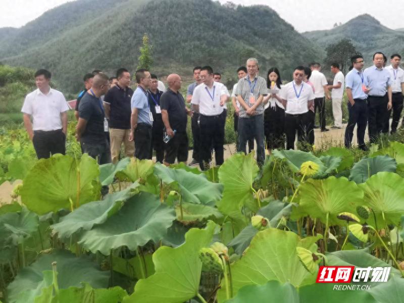 临武县农产品质量安全突击检查_农产品质量安全监管体系建设_农产品安全生产技术