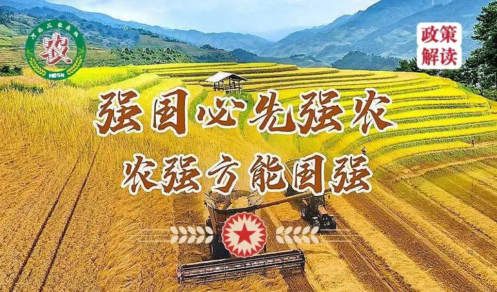 农产品电商标准化与物流优化_农产品电商运营策略_农产品电商特色
