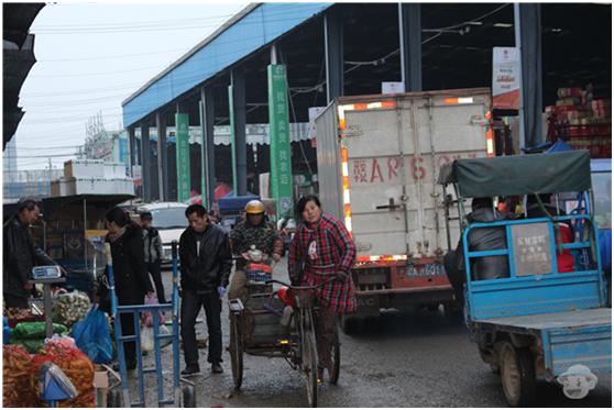 批发市场经验_柯老板农产品生意_农产品信息交易网