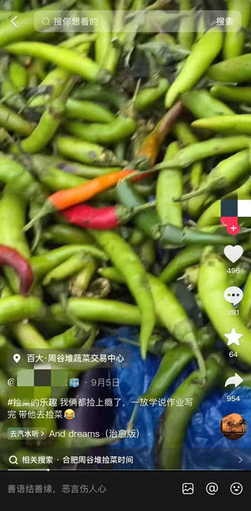合肥周谷堆农产品批发市场股份有限公司_短视频平台捡菜视频现象_合肥周谷堆市场废弃蔬菜处理