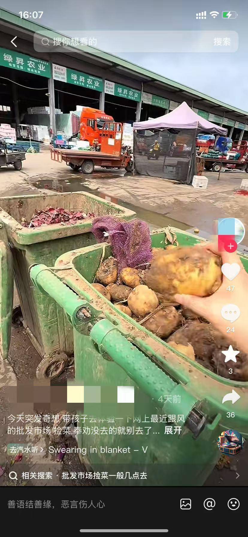合肥周谷堆农产品批发市场股份有限公司_合肥周谷堆市场废弃蔬菜处理_短视频平台捡菜视频现象
