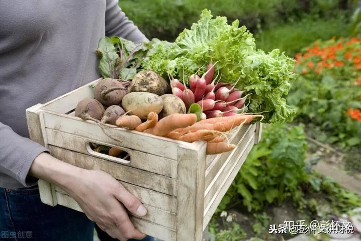 农业生产者销售自产农产品免征增值税_农产品免税范围_纳税人购进农业生产者销售自产的免税农业产品可以抵扣进项税额