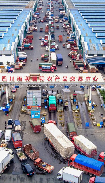 成都菜篮子保障_农产品 绿色物流_都市现代农业韧性