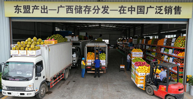 广西农产品电子商务_东盟水果进入中国通道_广西东盟水果贸易