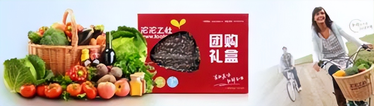公司农产品运营模式_农业项目转型策略_农业企业运营模式
