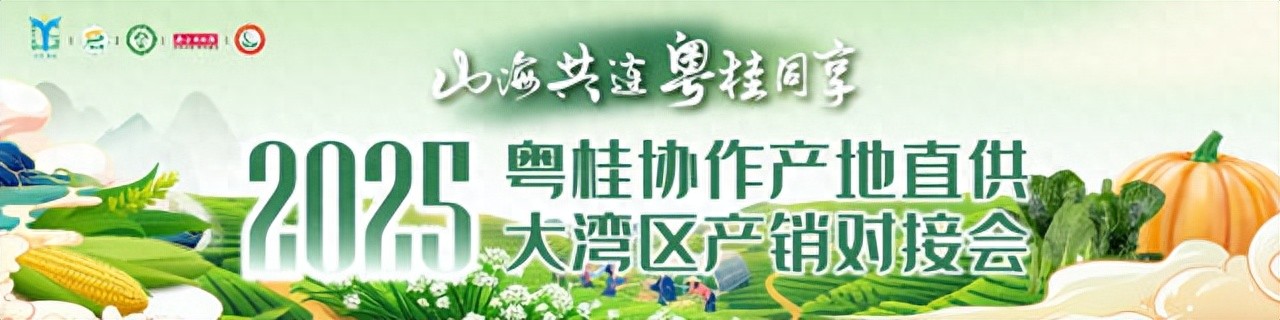 2025粤桂协作产地直供大湾区，广西农产品对接产销新机遇