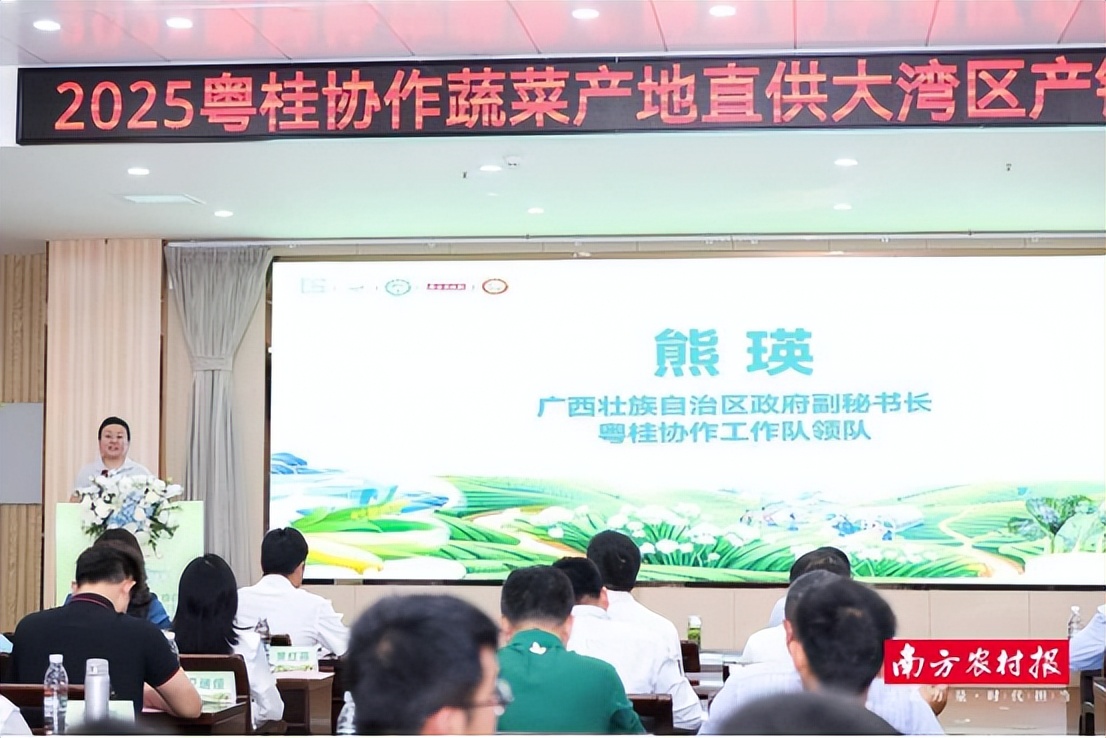 广西农产品电子商务_粤桂协作产地直供大湾区产销对接活动_广西蔬菜产业新发展机遇