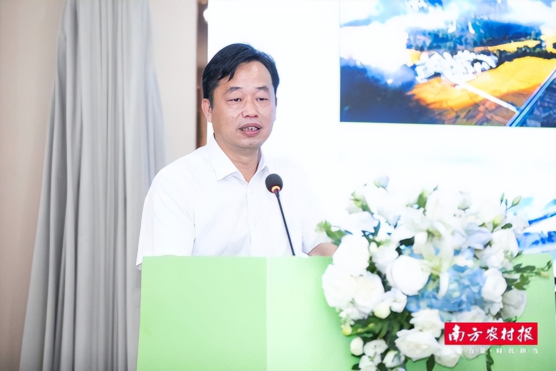 广西农产品电子商务_广西蔬菜产业新发展机遇_粤桂协作产地直供大湾区产销对接活动