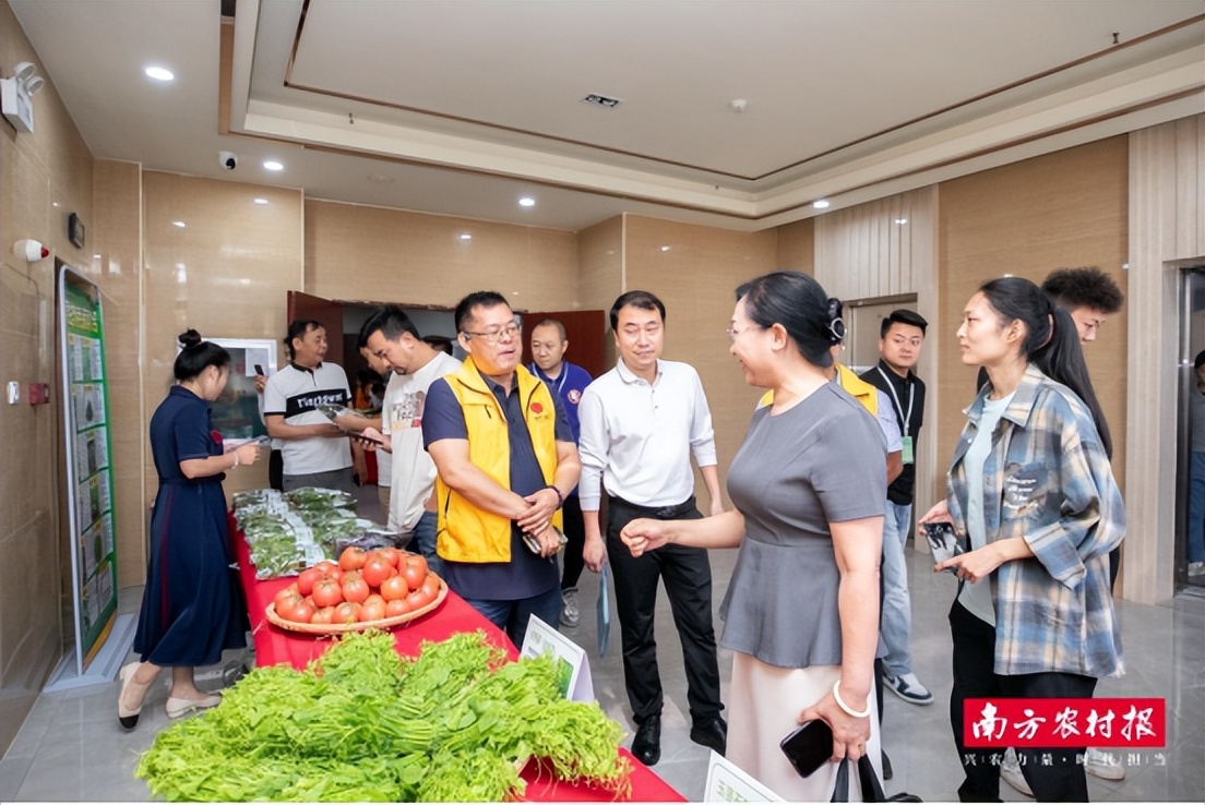 广西农产品电子商务_广西蔬菜产业新发展机遇_粤桂协作产地直供大湾区产销对接活动