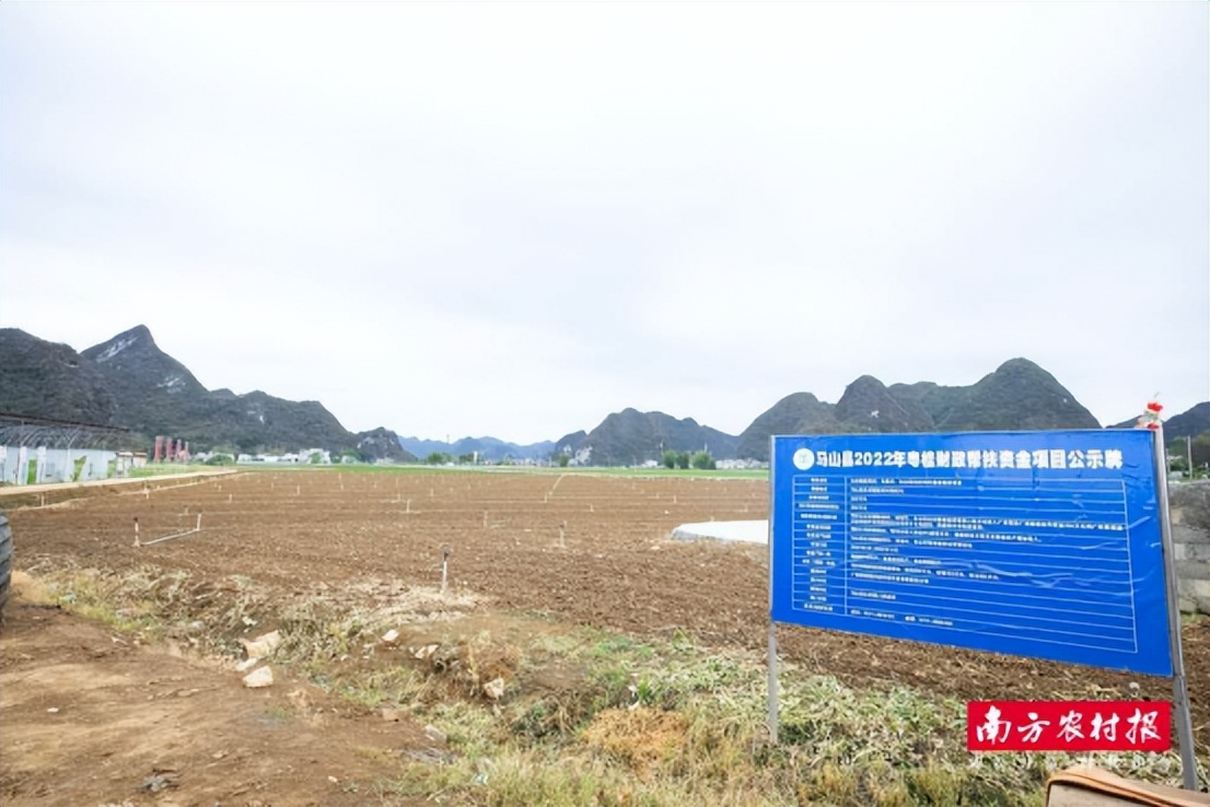 粤桂协作产地直供大湾区产销对接活动_广西蔬菜产业新发展机遇_广西农产品电子商务