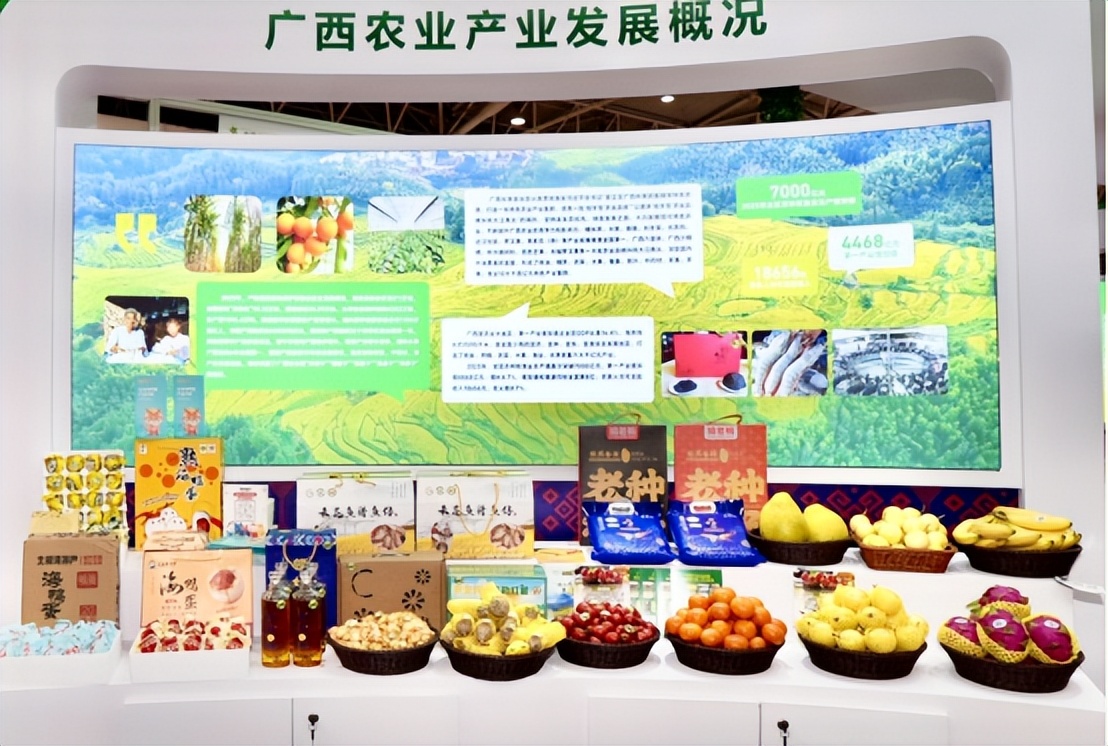 广西农产品电子商务_粤桂协作产地直供大湾区产销对接活动_广西蔬菜产业新发展机遇