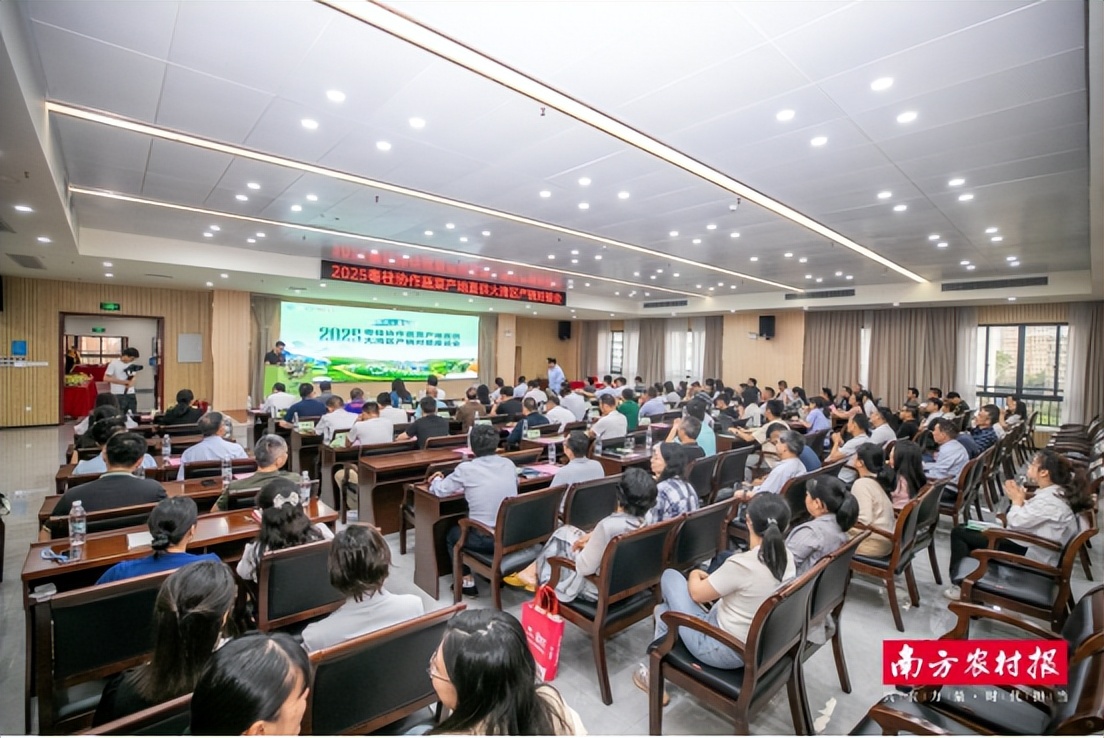 粤桂协作产地直供大湾区产销对接活动_广西农产品电子商务_广西蔬菜产业新发展机遇