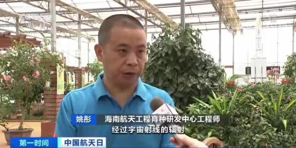 航天育种 太空种子 培育成果_农产品有哪些