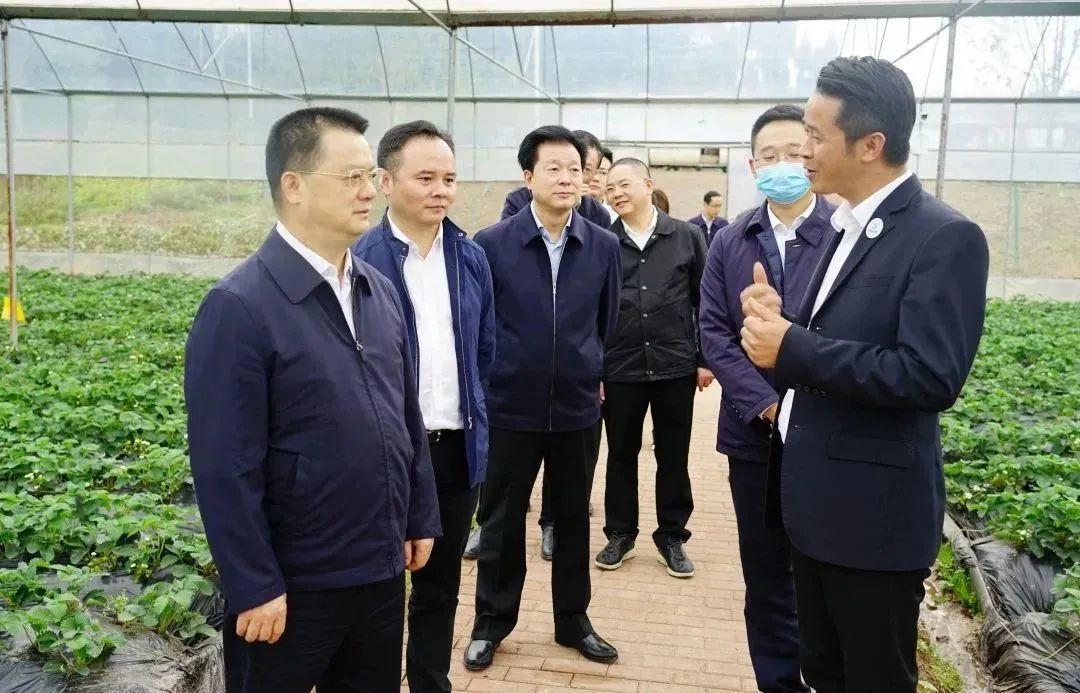 达州特色农产品汇总_达州市人大常委会监督农产品加工产业_达州市农产品加工产业集群发展