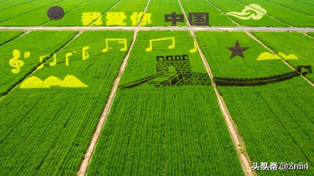 地理标志产品权益保护_农产品地理标志登记管理_农产品商标名字大全