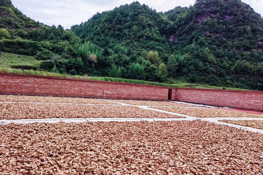 青林村游客接待中心_上坪乡农特产品销售中心_农产品展销中心外观