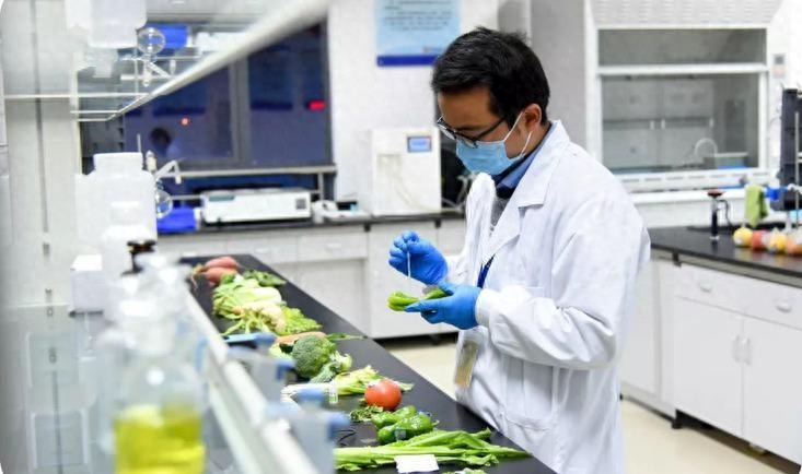 农产品追溯体系建设支持政策_海南餐饮食品合规溯源_海南自贸港农产品食材快速检测