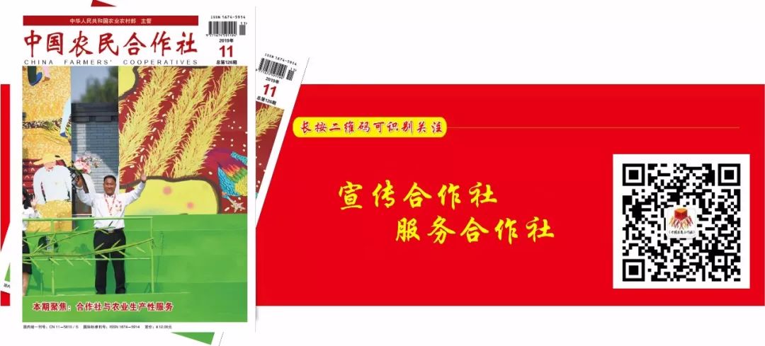 中国农业品牌目录2019_农产品有哪些品牌_农产品区域公用品牌评审