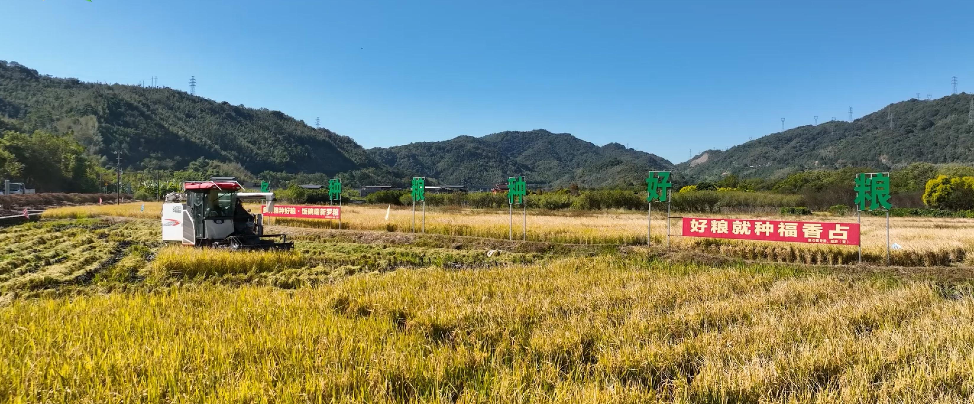 中国农产品销售网_福建省供销合作社农产品流通网络_福建省特色现代农业