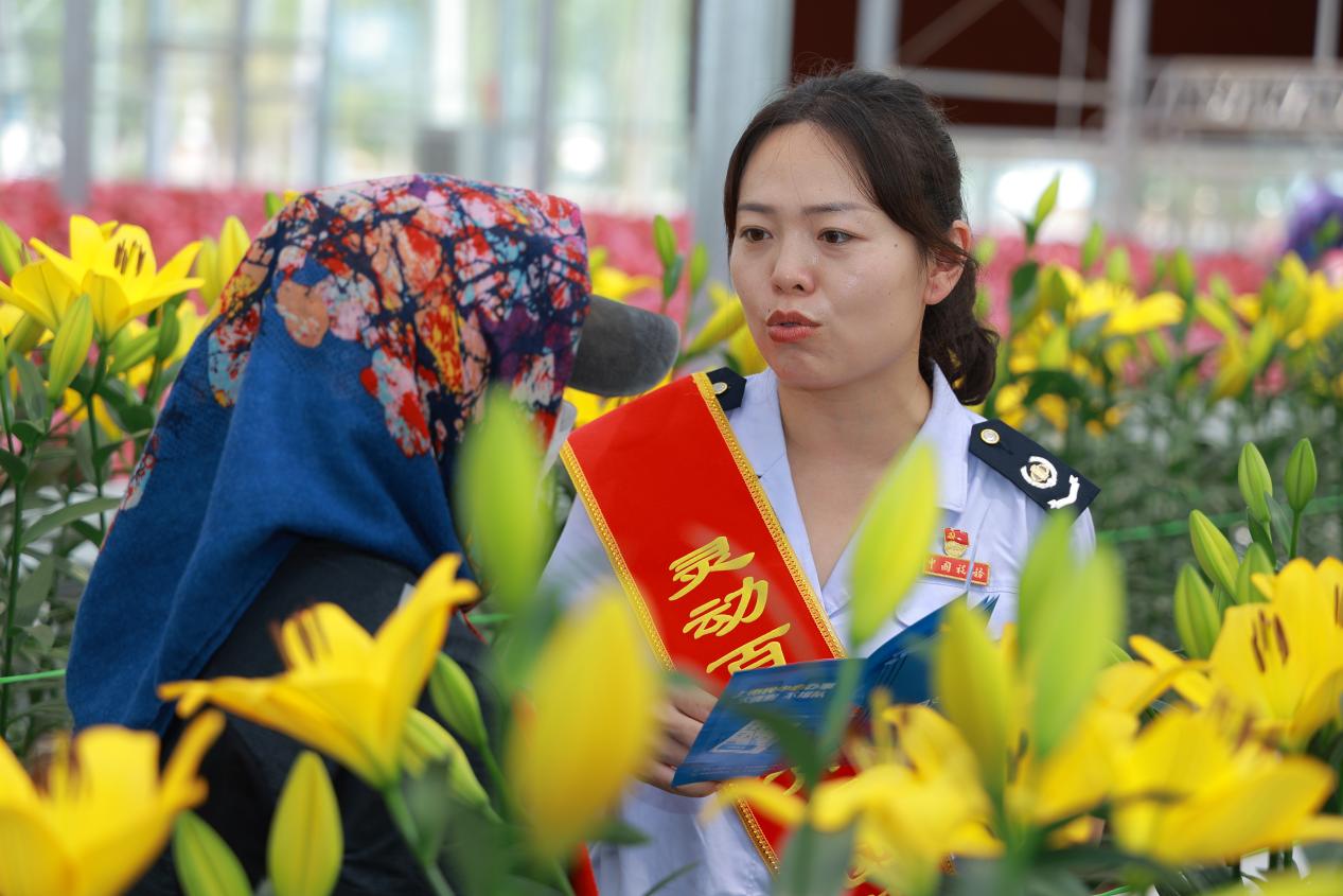 辽宁税务双驱动助力农产品转身，凌源百合节享税惠