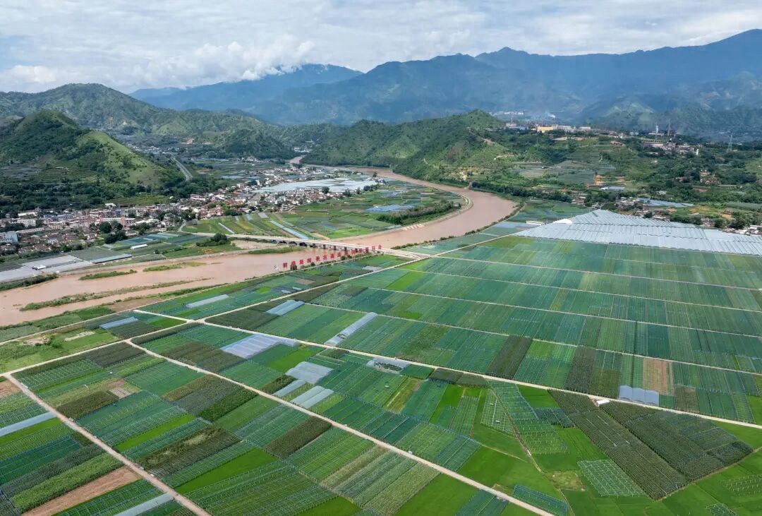 绿色农产品发展前景_绿色食品标准体系建设_绿色食品标志许可审查