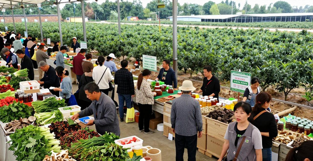 网上销售农产品_湖南常德国际农产品交易中心 森林食品交易火爆 日均交易量翻四倍