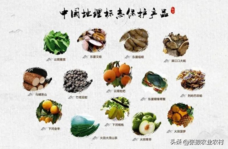 地理标志产品保护办法施行，这些要点你得知道
