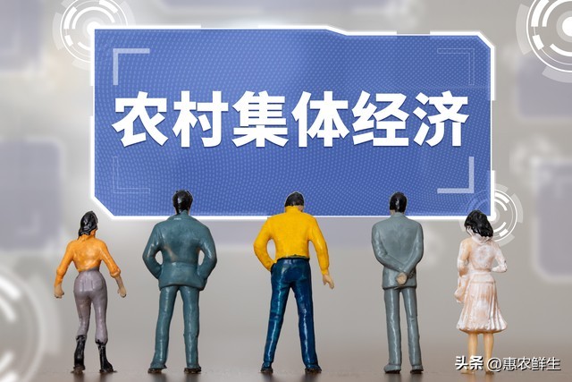 乡村集体经济高质量发展_农产品品牌建设的对策_乡村集体经济发展模式创新