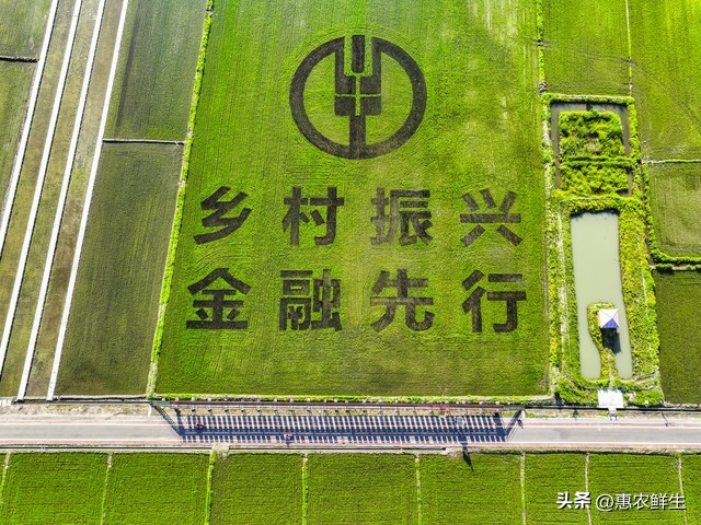 乡村集体经济高质量发展_农产品品牌建设的对策_乡村集体经济发展模式创新