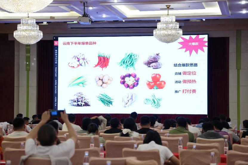 彩云电商消费券活动_农产品直销平台_云南高原特色农产品
