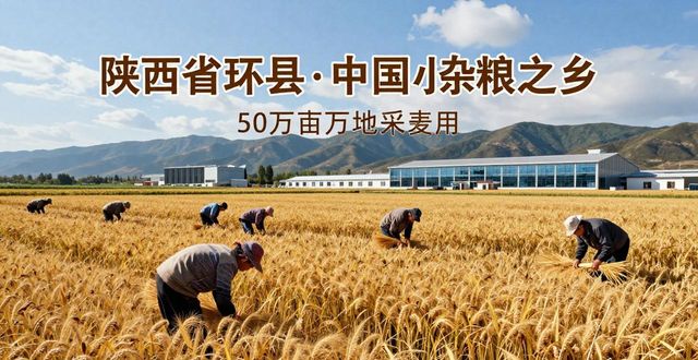 庆阳市税务优惠_农产品加工业税收_非遗荞麦产业融合税收政策