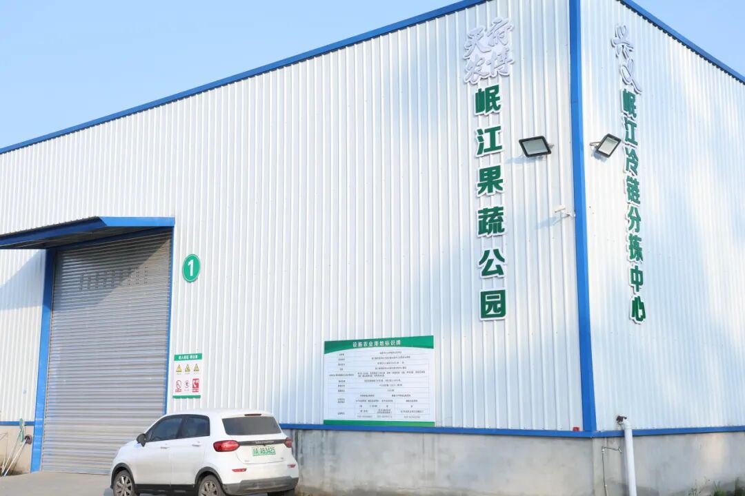 成都农产品批发市场_兴义镇岷江社区韭菜种植基地_成都农产品中心批发市场春菜销售数据