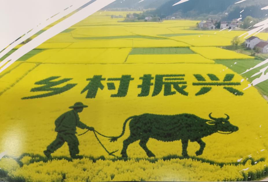 中国农业银行农产品交易平台_农业数字化产销平台_农产品供应链优化