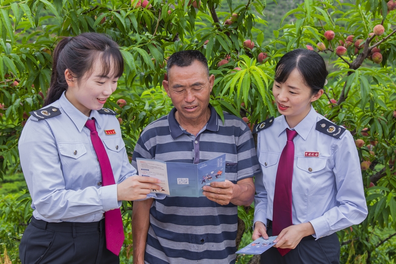 黔西南蜂糖李税收优惠政策_农产品加工业税收_黔西南蓝莓种植税收减免
