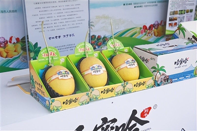 新奇特农产品大全图片_2026年热带水果产业发展大会 海南特色农产品 展位
