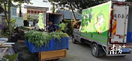 澄海区网格化监管_汕头农产品质量安全监管_农村农产品安全责任书