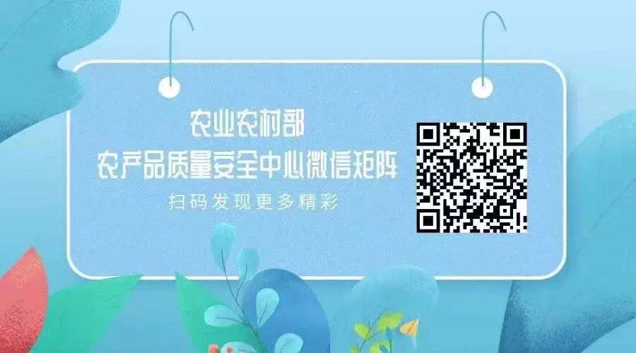 农产品安全检测技术_农业农村部食品质量监督检验测试中心_农产品质量安全检验检测技术骨干实训班