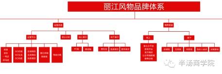 农村电子商务区域公共品牌建设及营销_发展农村电子商务品牌农业的重要性_浅谈农产品电子商务