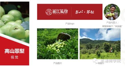 浅谈农产品电子商务_发展农村电子商务品牌农业的重要性_农村电子商务区域公共品牌建设及营销