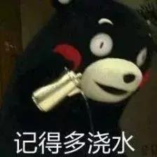 农业生产者销售的自产农产品需要缴纳增值税_购进农产品进项税额抵扣政策_农产品免征增值税政策