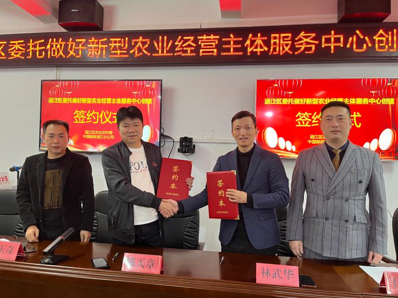 在邮乐网卖农产品_莆田枇杷邮政寄递_莆田邮政助农销售枇杷