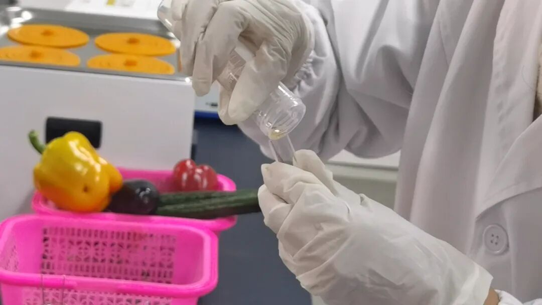 湟中区蔬菜农药残留抽检_湟中区农产品质量安全检测中心_农产品质量安全检测工作