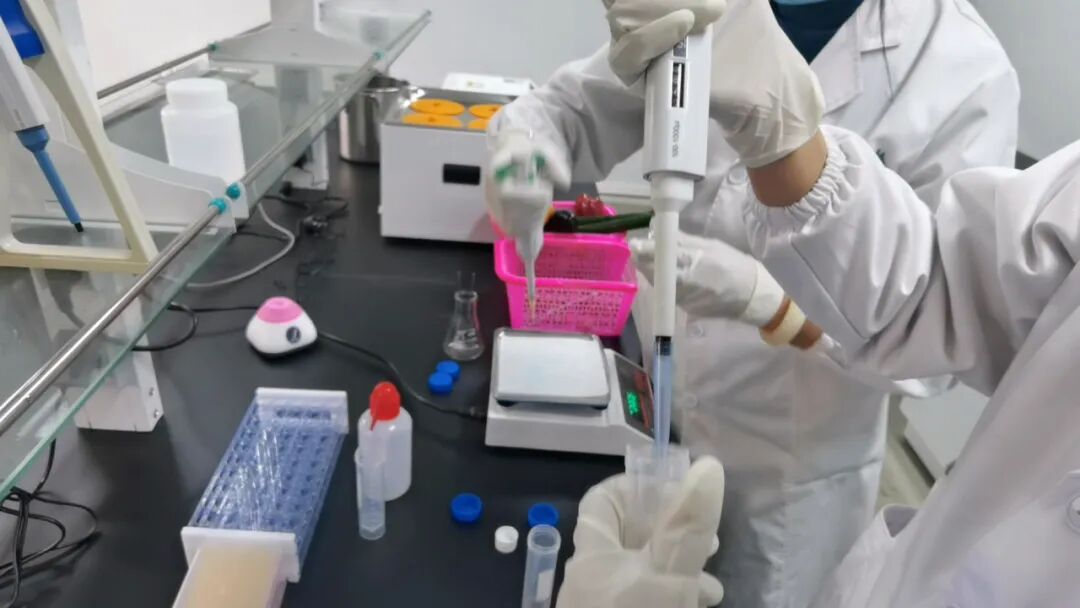 湟中区农产品质量安全检测中心_农产品质量安全检测工作_湟中区蔬菜农药残留抽检