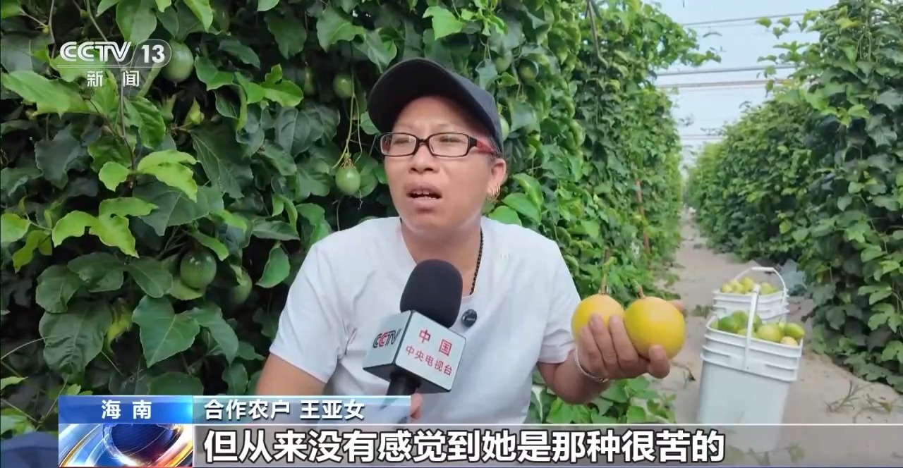 淘宝直播卖农产品难不难？她靠死磕品质年入千万