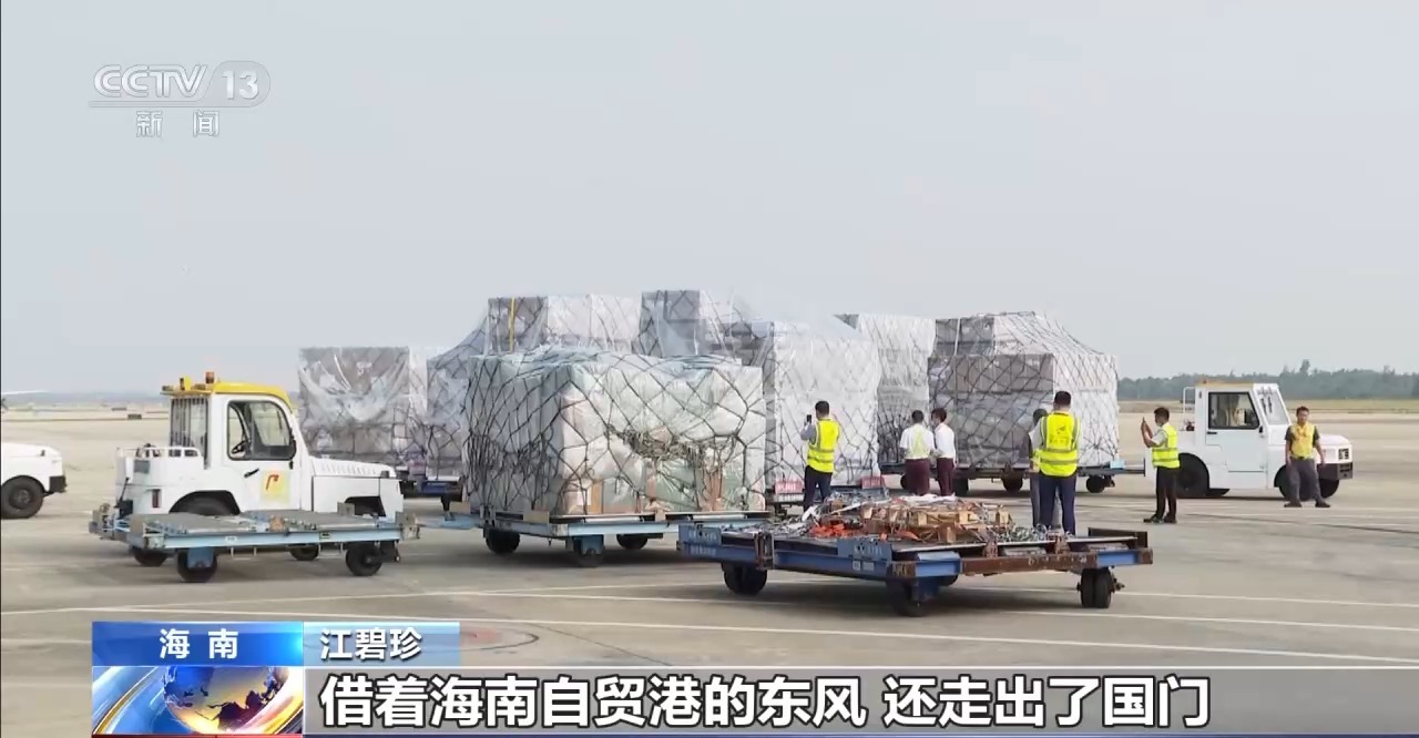 助农电商培训_新农人直播带货_淘宝直播农产品好做吗
