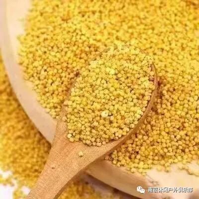 山西小米营养价值_山西小米原产地_山西省有机绿色农产品