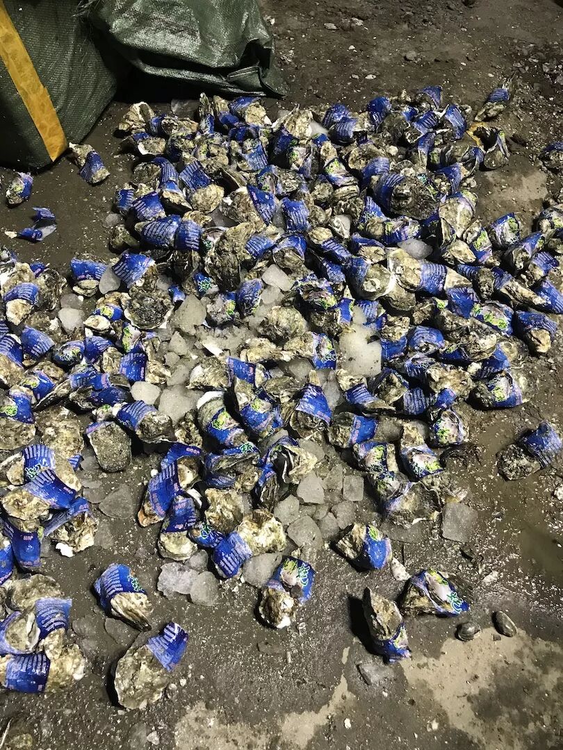 新发地农产品批发市场_北京农产品批发市场大全_北京菜篮子食材供应